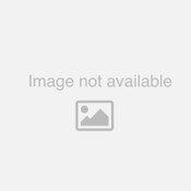 Pochettel des Besoins Spéciaux